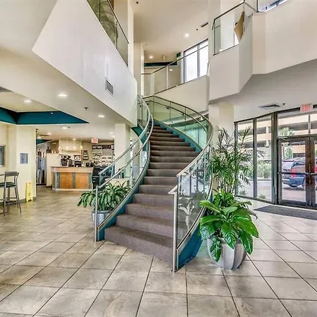 1Br Oceanview Suite Relaxation Awaits Dogs Ok! 1704